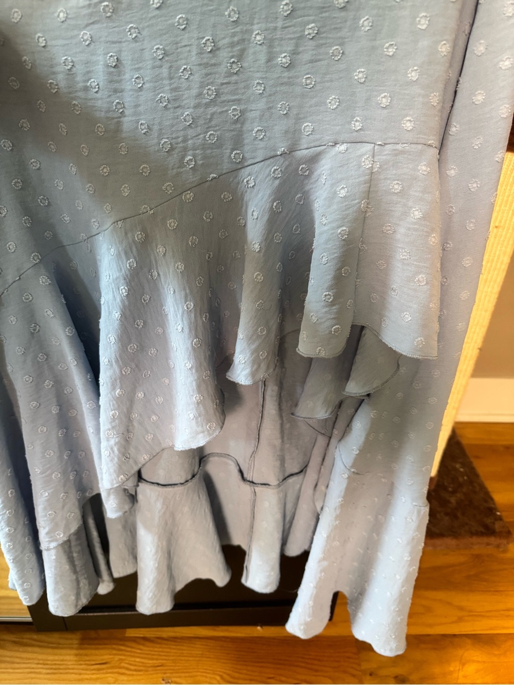 Altar'd State Swiss Dot High-Low Dress - Picture 5 of 8